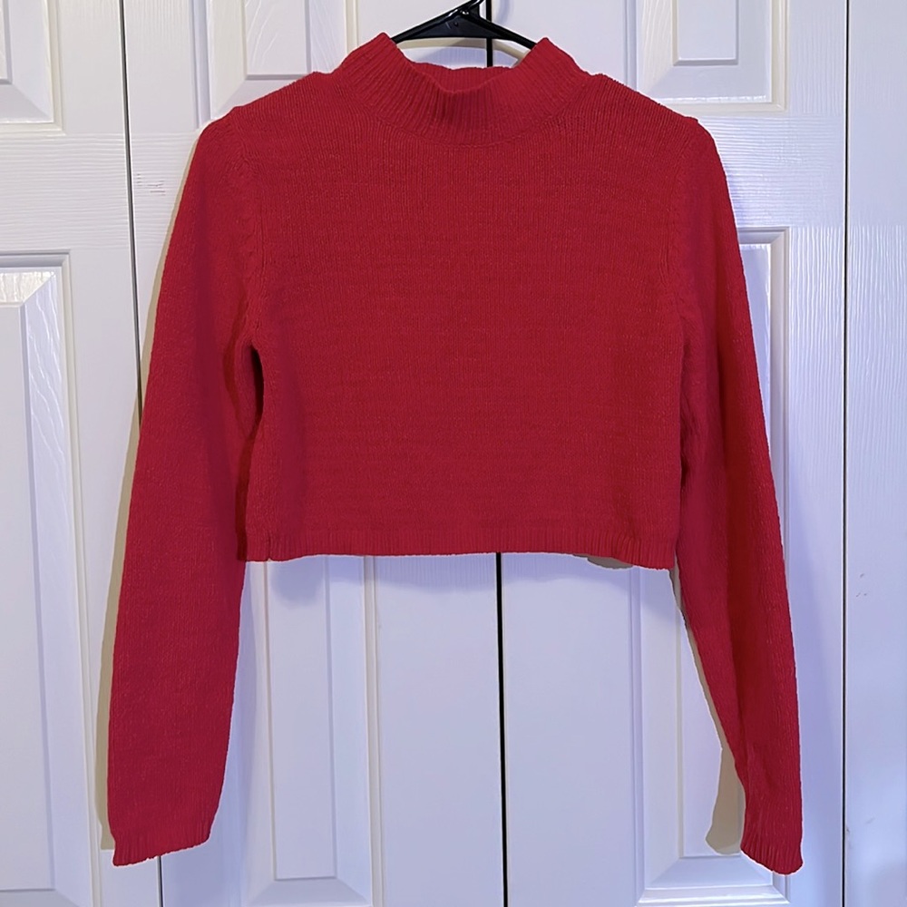 Wild Fable cropped sweater